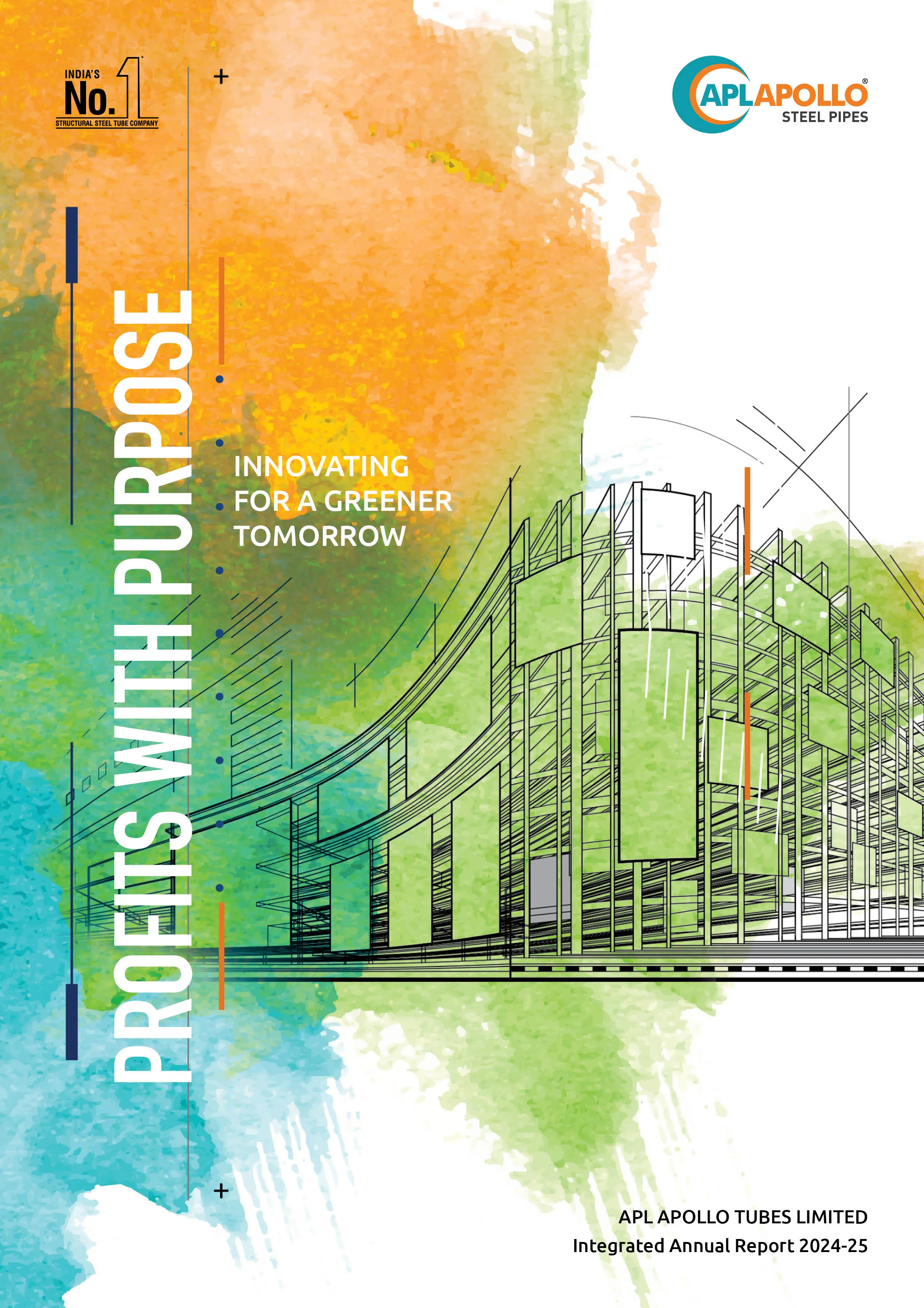 Building the nation project